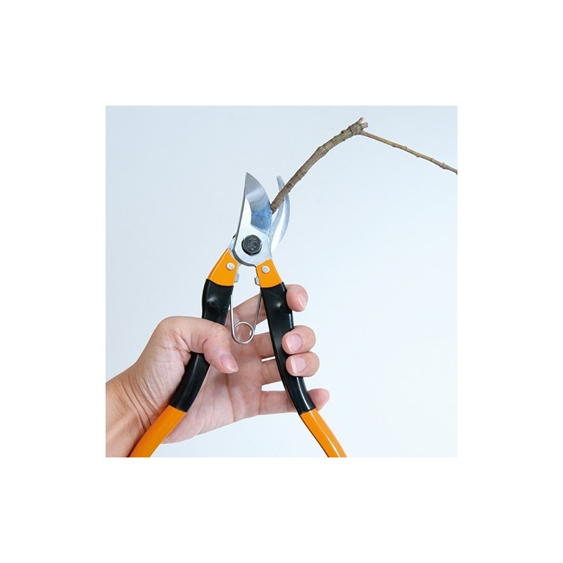 2in1 Handy Lopper 12 inch Nishigaki Made in Japan Tenartis Shop