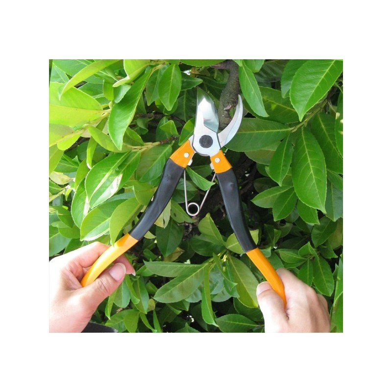 2in1 Handy Lopper 12 inch Nishigaki Made in Japan Tenartis Shop