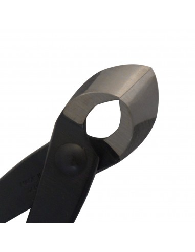 Pince Oblique à Bonsaï 20 cm - Kikuwa Fabriqué au Japon