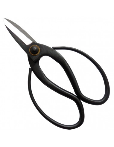 Tijeras Bonsai 18 cm Tenartis Venta Online