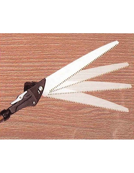 Segaccio Telescopico Professionale Giapponese Nishigaki | Tenartis