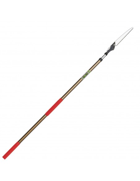 Scie à Élaguer avec Manche Télescopique Nishigaki, Japon | Tenartis Shop