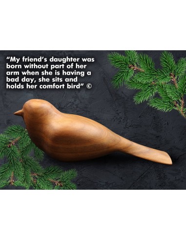Kit Utensili per Intaglio "Comfort Bird" BeaverCraft | Tenartis Shop