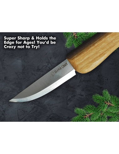 "Tröstender Vogel" Schnitzset BeaverCraft DIY01 | Tenartis Online Shop