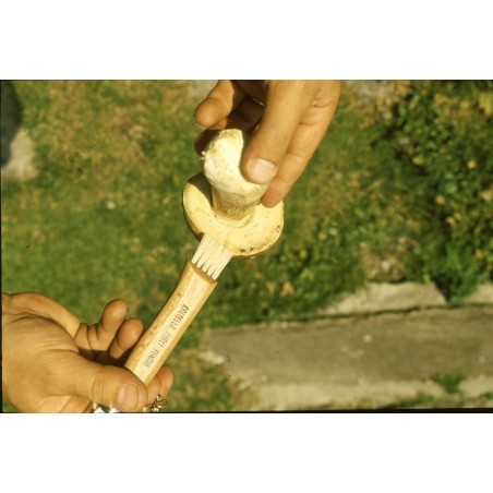 Mushroom Knife 7,5 cm