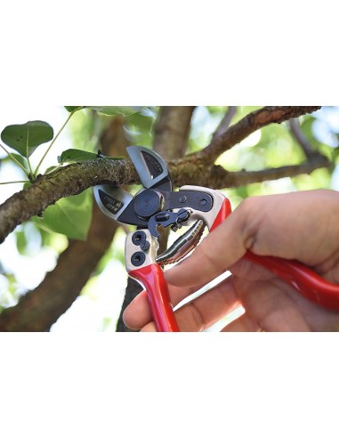 Sécateur Professionnel à Double Tranchant Falket 2012 EVO | Tenartis
