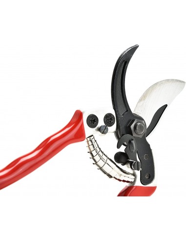 Tijeras Profesionales de Podar y Jardíneria 21 cm - Falket 2112 Made in Italy