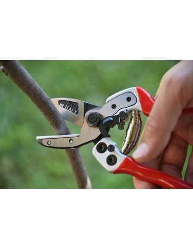 Professional Pruning Shear with Anvil Blade Falket | Tenartis Shop