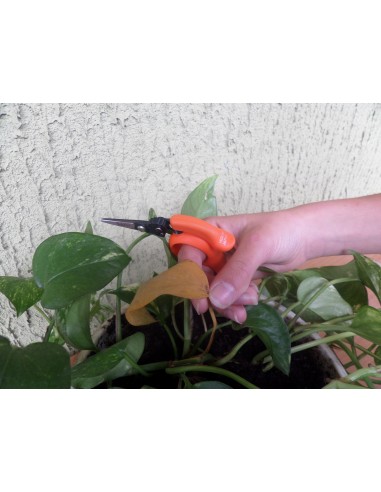 Multifunktionale Schere "freihändig" für den Garten, Bonsai, Frucht und Gemüse Ernte, 12 cm - Saboten 1318S Made in Japan