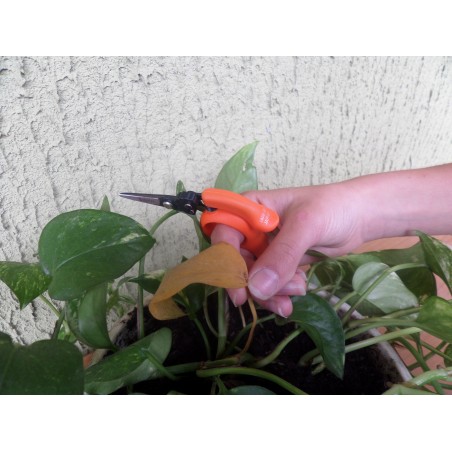 "Free Fingers" Bonsai, Gardening, Floral, Multipurpose Scissors 12 cm/4,75 inch