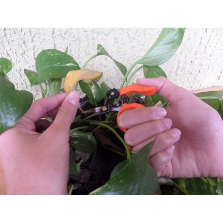 "Free Fingers" Bonsai, Gardening, Floral, Multipurpose Scissors 12 cm/4,75 inch