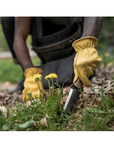 Cuchillo de Jardinería, Palita, Transplantador "Hori Hori" en Acero Inox con Funda - Barebones Living