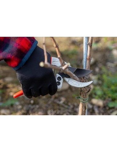 Forbici da Potatura Professionali con Taglio Battente Curvo 21 cm - Falket 2030 Made in Italy