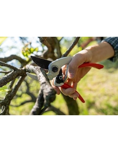 Professionelle Gartenschere mit gebogener Ambossklinge, Aluminium- ergonomischer Griff, 21 cm - Falket 2030 Made in Italy