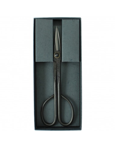 Ciseaux à Bonsaï Twig Professionnels 20 cm - Tanabe S-5 Fabriqué au Japon