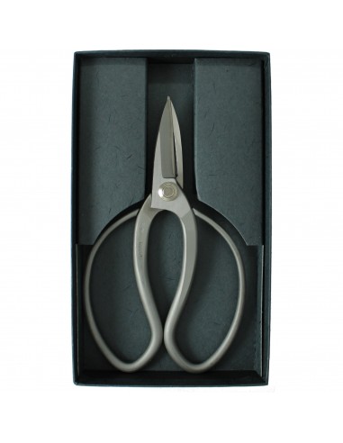 Forbici per Bonsai Professionali 18 cm in Acciaio Inox - Tanabe S-301 Made in Japan