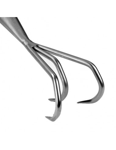 Coltivatore a 3 Denti mod. Stretto - Sneeboer Made in Holland