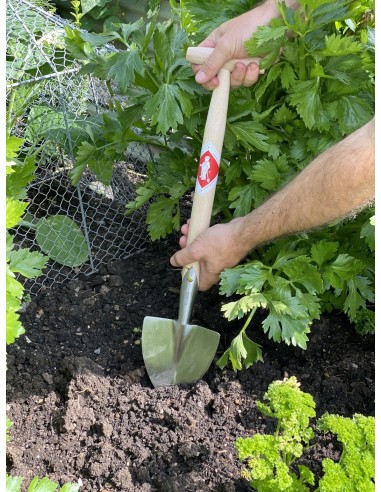 Bêche Pointue Great Dixter - Sneeboer Fabriqué en Hollande