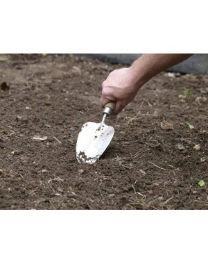 Transplanting Trowel - Sneeboer Made in Holland Transplanting Trowel - Sneeboer Made in Holland