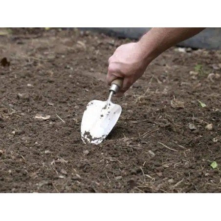 Transplanting Trowel - Sneeboer Made in Holland