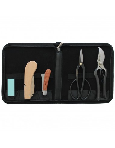 Kit Outils Professionnels de Jardinage Elagage| Tenartis Online Shop