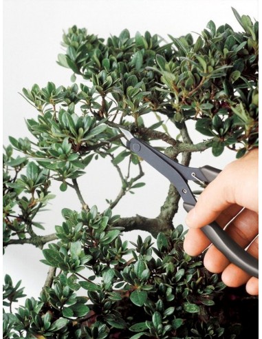 Bonsai Drahtzange - Keiba LS-007 Made in Japan