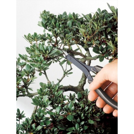 Bonsai Drahtzange - Keiba LS-007 Made in Japan