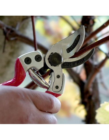 Profi Bypass Gartenschere 21 cm Falket 2112 Made in Italy | Tenartis Shop