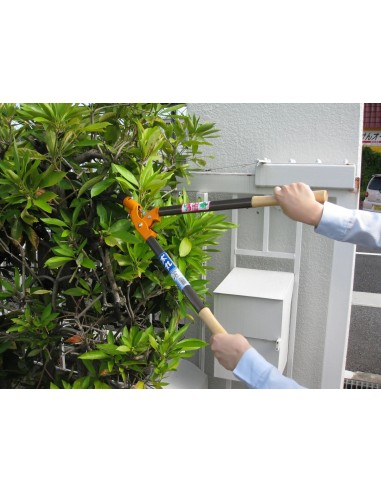 Cortarramas, Tijeras de Podar 2 Manos Nishigaki | Tenartis Shop