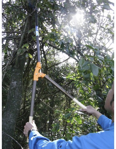 Cortarramas, Tijeras de Podar 2 Manos Nishigaki | Tenartis Shop