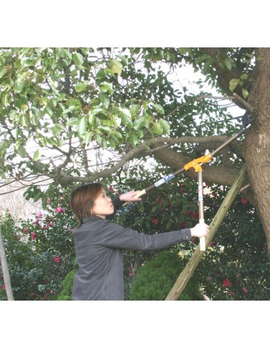 Futomaru Bypass Astschere Nishigaki Made in Japan | Tenartis Shop