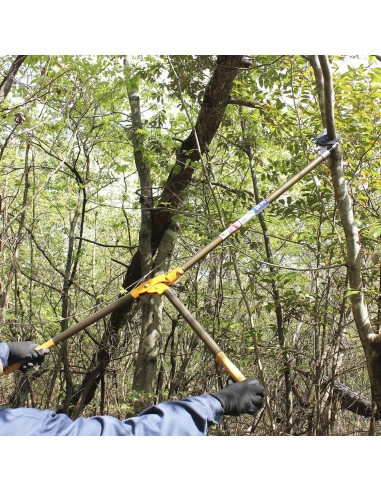 Cortarramas, Tijeras de Podar 2 Manos Nishigaki | Tenartis Shop