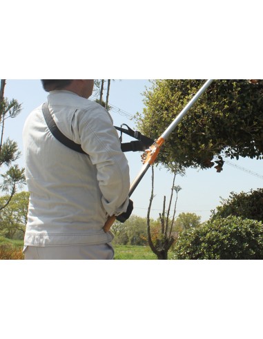 Futomaru Telescopic Bypass Long Reach Lopper 180-255 cm - Nishigaki N-160 Made in Japan