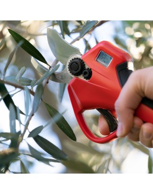 Sécateur Électrique sans Fil Professionnel avec Lames Courbes - Falket 3000T E-Power Sécateur Électrique sans Fil Professionnel avec Lames Courbes - Falket 3000T E-Power