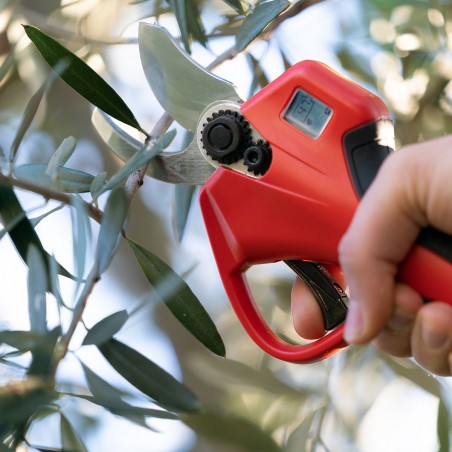 Sécateur Électrique sans Fil Professionnel avec Lames Courbes - Falket 3000T E-Power