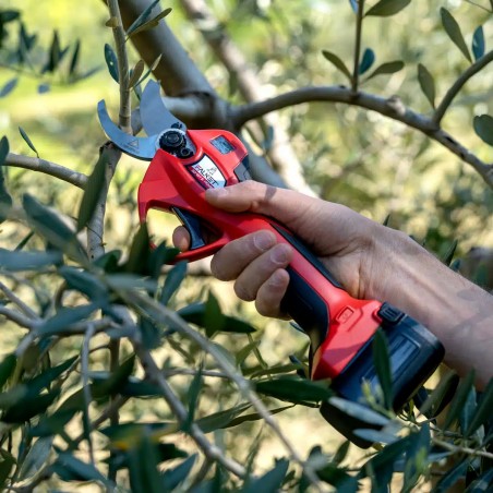 Professional Cordless Pruning Shear with Bypass Curved Blades - Falket 3040T E-Power