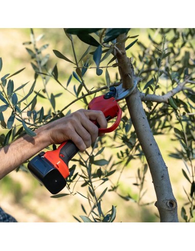 Professional Cordless Pruning Shear with Bypass Curved Blades - Falket 3040T E-Power