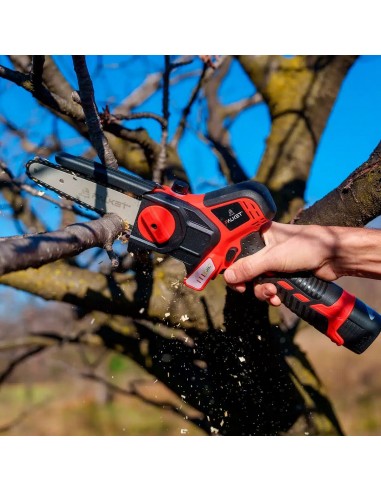 Sega a Batteria per Potatura con Motore Brushless - Falket 4010T E-Power