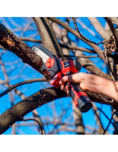 Cordless Pruning Saw with Brushless Motor - Falket 4010T E-Power