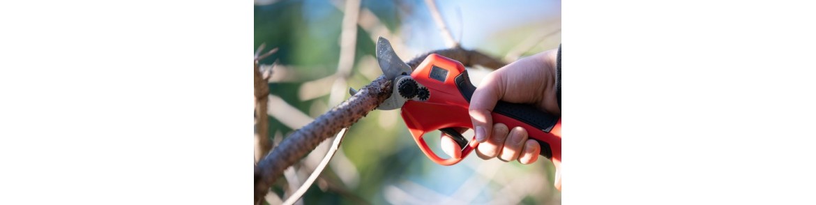 Forbici e Seghetti da Potatura Professionali a Batteria: Potenza e Precisione per il Tuo Giardino | Tenartis Shop