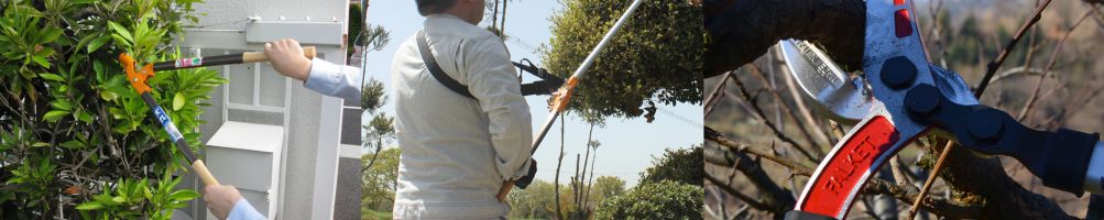 Coupe-Branches Professionnels  | Tenartis Vente en Ligne