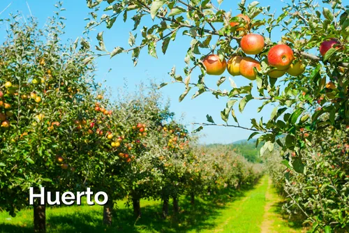Huerto