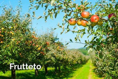 Frutteto
